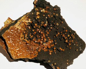 campylite